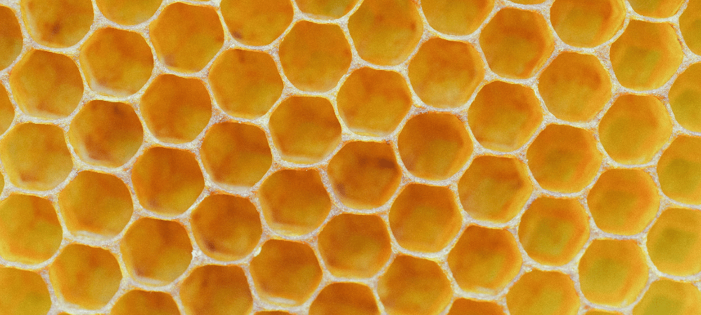beeswax honeycomb