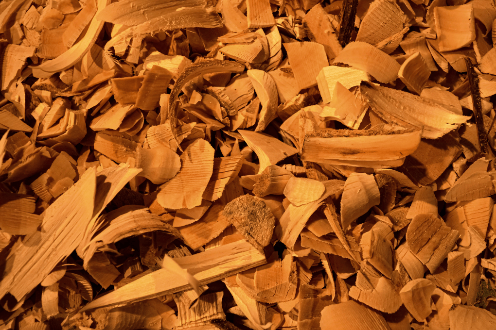 An assortment of Sandalwood chips scattered.
